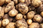 Image for Potatoes - New British