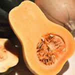 Image for Butternut Squash 