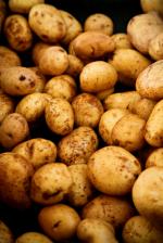 Image for Potatoes - New Cyprus IDEAL FOR ROASTING, BAKING, CHIPPING & MASHING
