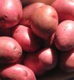 Image for Potatoes - Reds