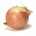 Image for Onion 
